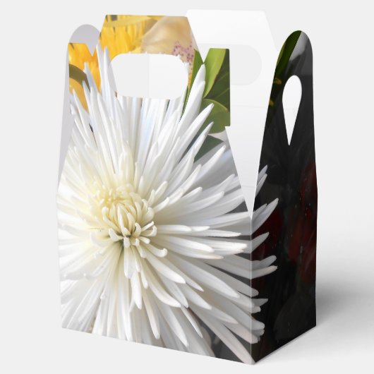 Clarica Geschenkschachtel (Geöffnet)