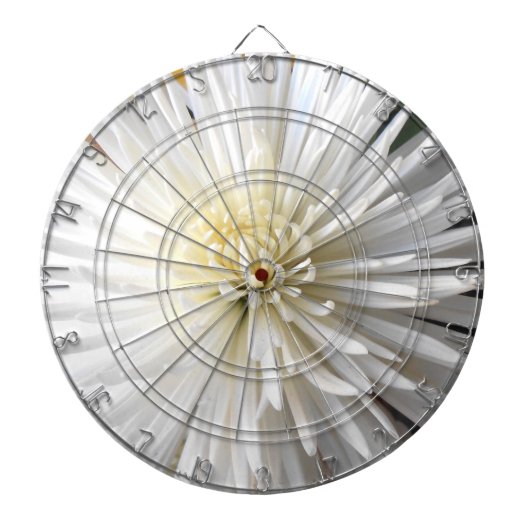 Claricia Dartscheibe (vorne)