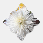 Claricia Geschenkschachtel (Ungefaltet)