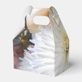 Claricia Geschenkschachtel (Rückseite)