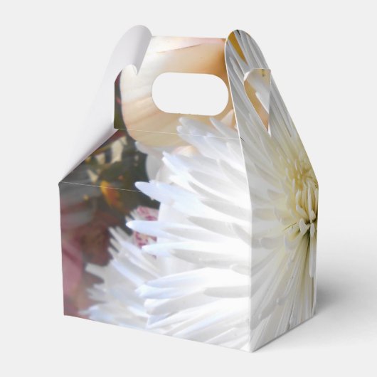 Claricia Geschenkschachtel (Rückseite)