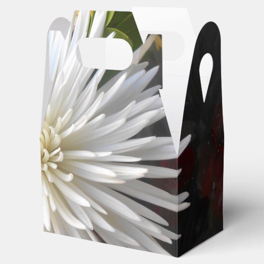 Claricia Geschenkschachtel (Geöffnet)