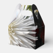 Claricia Geschenkschachtel (Vorderseite)