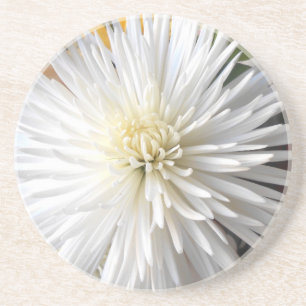 Claricia Getränkeuntersetzer