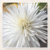 Claricia Glasuntersetzer (Vorderseite)