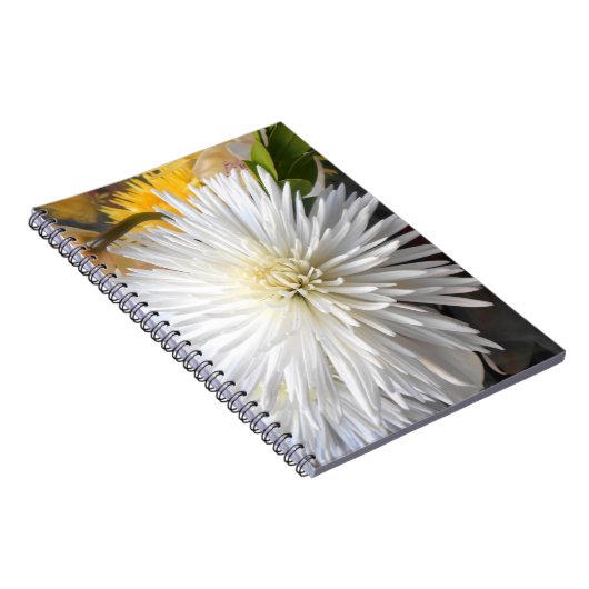 Claricia Notizblock (Rechte Seite)