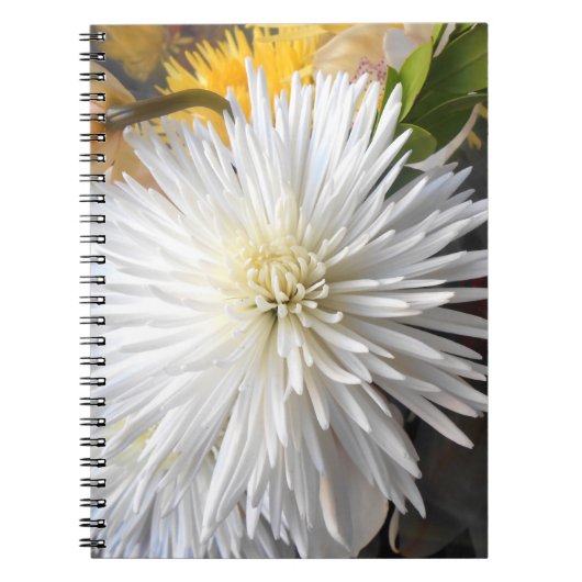 Claricia Notizblock (Vorderseite)