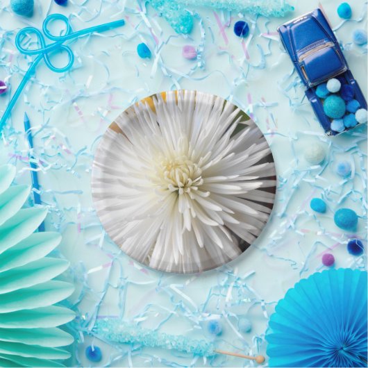 Claricia Pappteller (Party)