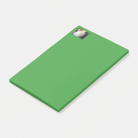 Claricia Post-it Klebezettel (angewinkelt)