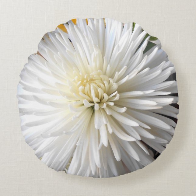 Claricia Rundes Kissen (Vorderseite)