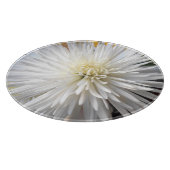 Claricia Schneidebrett (Ecke)