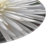 Claricia Schneidebrett (Ecke)