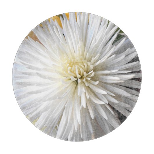 Claricia Schneidebrett (Vorderseite)