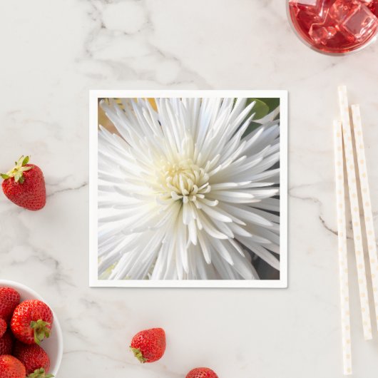 Claricia Serviette (Beispiel)