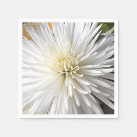 Claricia Serviette (Vorderseite)