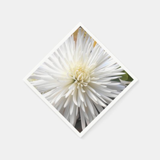 Claricia Serviette (Ecke)