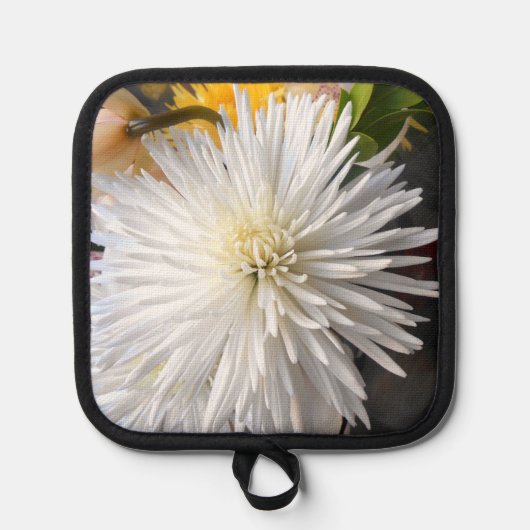 Claricia Topflappen (Vorderseite)