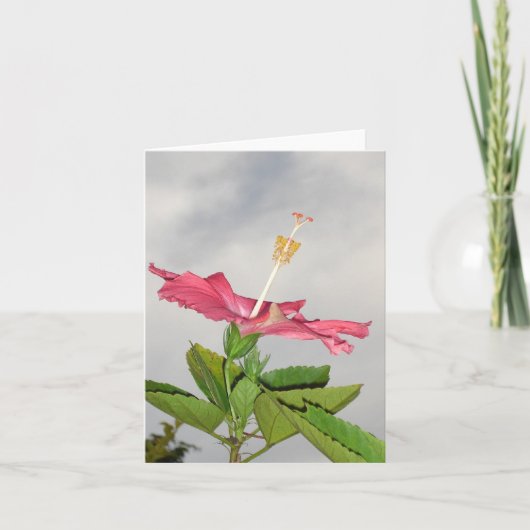 Clarion Karte (Vorderseite)