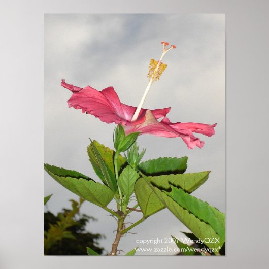 Clarion Poster (Vorne)