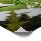 Clarion Poster (Ecke)