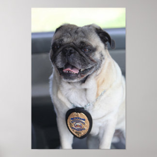 Clark als Mops Poster