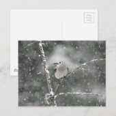 Clark-Nussknacker Postkarte (Vorne/Hinten)