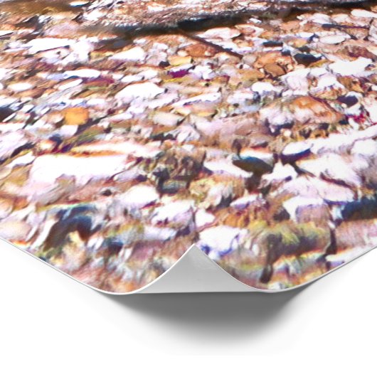 Clarke-Anenomefisch Poster (Ecke)