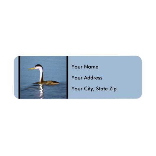 Clark's Grebe Painting - Original Bird Art (Vorne)
