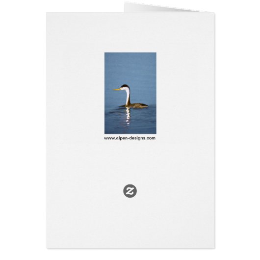 Clark's Grebe Painting - Original Bird Art (Hinten)