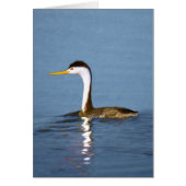 Clark's Grebe Painting - Original Bird Art (Vorne)