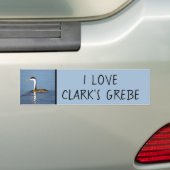 Clark's Grebe Painting - Original Bird Art Autoaufkleber (Auf Auto)