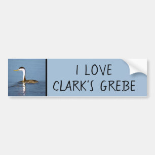 Clark's Grebe Painting - Original Bird Art Autoaufkleber