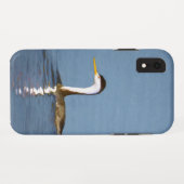 Clark's Grebe Painting - Original Bird Art Case-Mate iPhone Hülle (Rückseite (Horizontal))