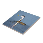 Clark's Grebe Painting - Original Bird Art Fliese (Seite)