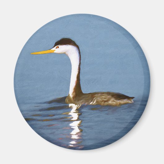 Clark's Grebe Painting - Original Bird Art Magnet (Vorne)