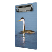 Clark's Grebe Painting - Original Bird Art Mini Klemmbrett (Gewinkelt2)