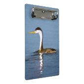 Clark's Grebe Painting - Original Bird Art Mini Klemmbrett (Schrägansicht)