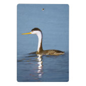 Clark's Grebe Painting - Original Bird Art Mini Klemmbrett (Rückseite)