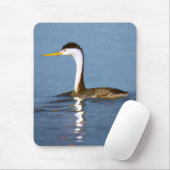 Clark's Grebe Painting - Original Bird Art Mousepad (Mit Mouse)