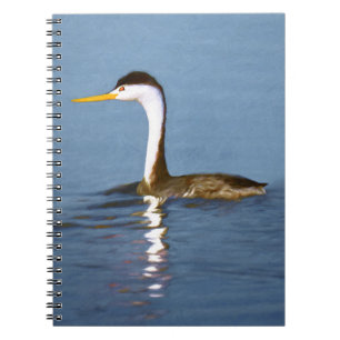 Clark's Grebe Painting - Original Bird Art Notizblock
