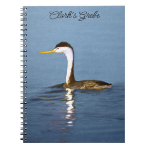 Clark's Grebe Painting - Original Bird Art Notizblock