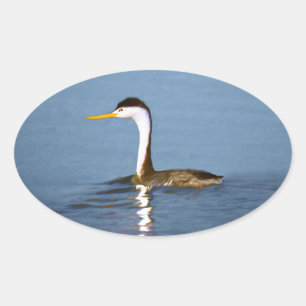 Clark's Grebe Painting - Original Bird Art Ovaler Aufkleber