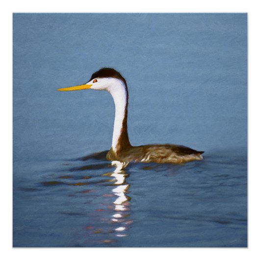 Clark's Grebe Painting - Original Bird Art Poster (Vorderseite)