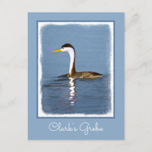 Clark's Grebe Painting - Original Bird Art Postkarte