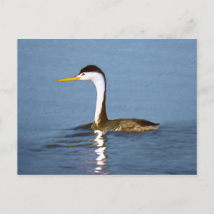 Clark's Grebe Painting - Original Bird Art Postkarte