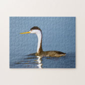 Clark's Grebe Painting - Original Bird Art Puzzle (Horizontal)