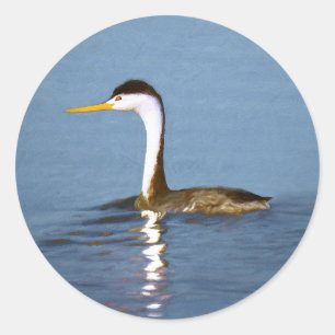 Clark's Grebe Painting - Original Bird Art Runder Aufkleber