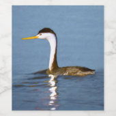 Clark's Grebe Painting - Original Bird Art Weinetikett (Einzelnes Label)