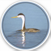 Clark's Grebe Painting - Original Wild Bird Art Aufkleber (Vorderseite)