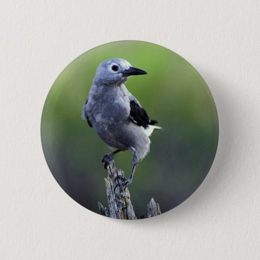 Clarks Nussknacker Button (Vorderseite)